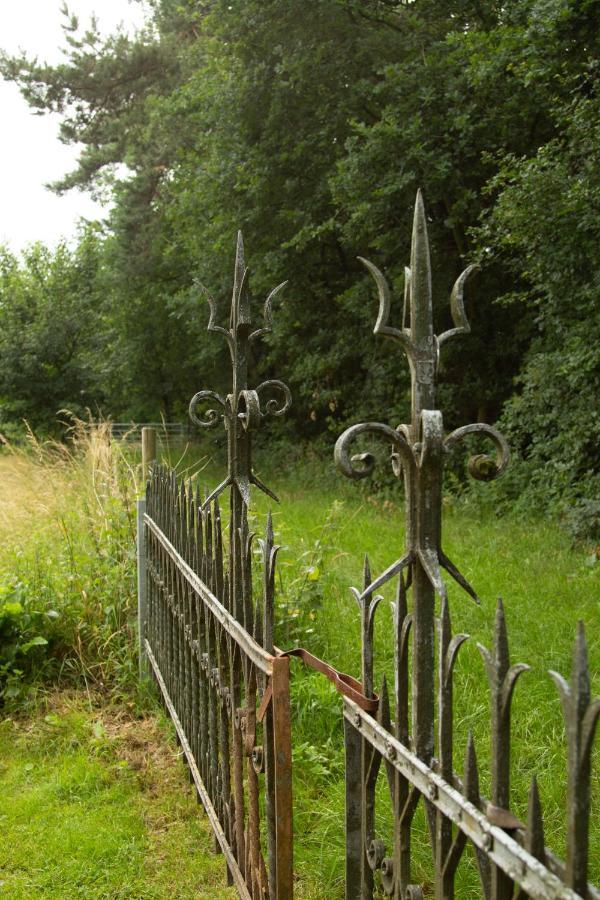 Op De Grens Villa Lommel Exterior foto